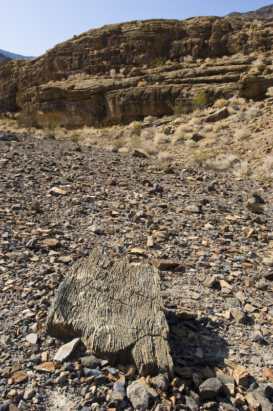 Scree And Canyon Wall